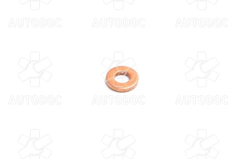 Уплотнительное кольцо ТНВД (пр-во Bosch). Фото 1