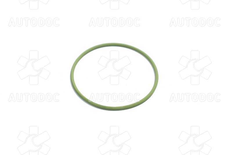 Уплотнительное кольцо ТНВД  (пр-во Bosch). Фото 1