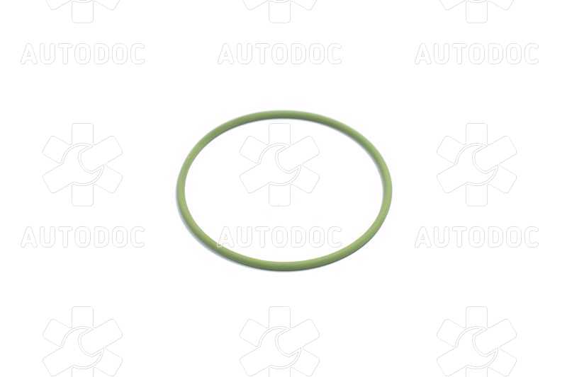 Уплотнительное кольцо ТНВД  (пр-во Bosch). Фото 5
