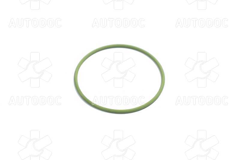 Уплотнительное кольцо ТНВД  (пр-во Bosch). Фото 6