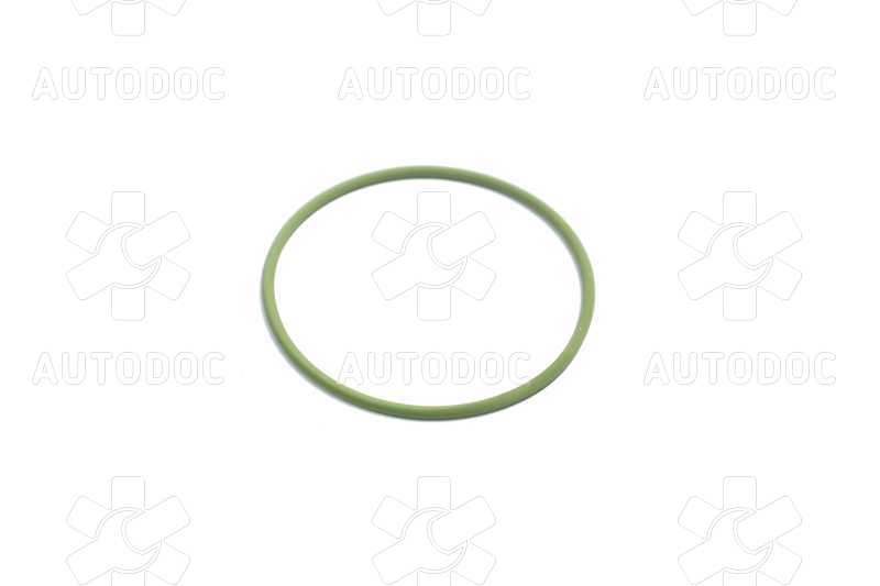 Уплотнительное кольцо ТНВД  (пр-во Bosch). Фото 2