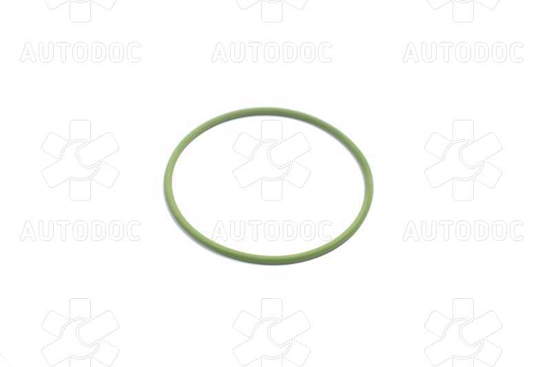 Уплотнительное кольцо ТНВД  (пр-во Bosch). Фото 3