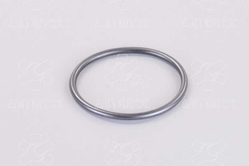 Уплотнительное кольцо ТНВД  (пр-во Bosch). Фото 3