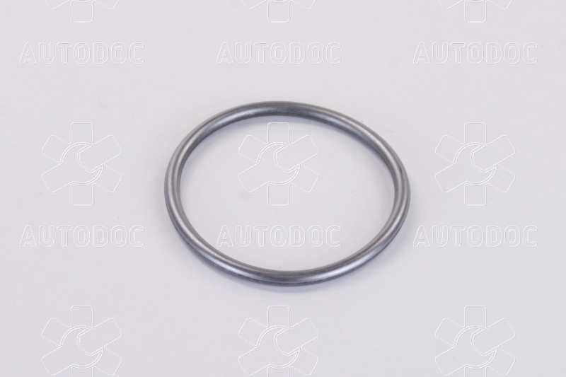 Уплотнительное кольцо ТНВД  (пр-во Bosch). Фото 4