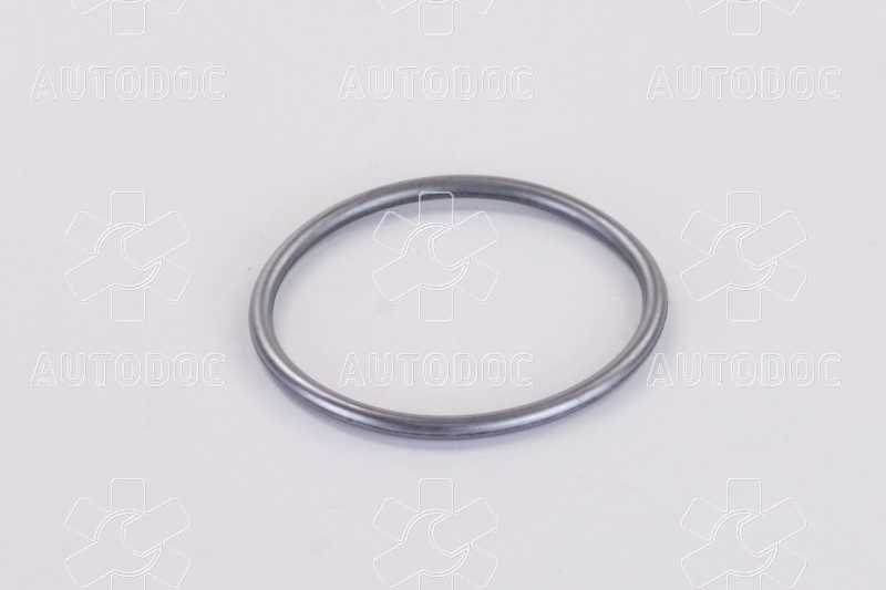 Уплотнительное кольцо ТНВД  (пр-во Bosch). Фото 1